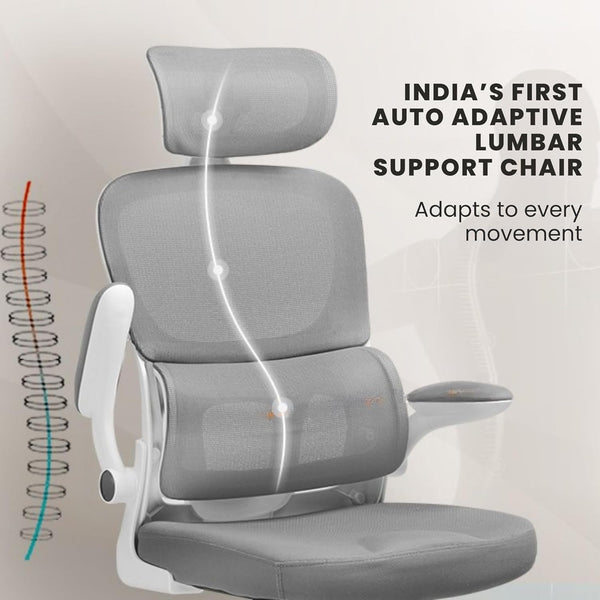 GTPLAYER - Ergonomic Office Chair | Auto-Adaptive Lumbar Support |High-End Quality Mesh Adjustable Neck & Armrests | Heavy-Duty Chromium Metal Base (Grey)